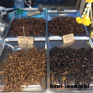 Жаренный сверчки и прочие жуки в Тайланде