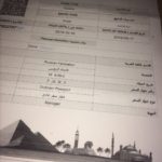 Электронная виза в Египет, как получить самостоятельно.